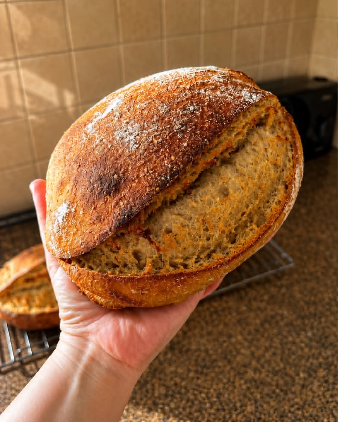 Bread whole wheet